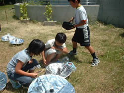 19solar_cooking.jpg